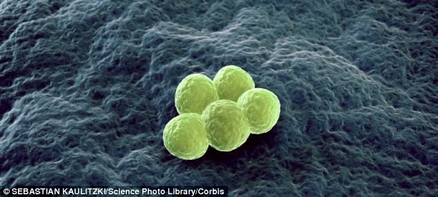The spread of deadly superbugs that evade even the most powerful antibiotics is happening across the world, United Nations officials have confirmed. Image shows the superbug MRSA which already kills almost 20,000 people a year in Europe