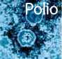 http://neue-medizin.com/polio10.jpg