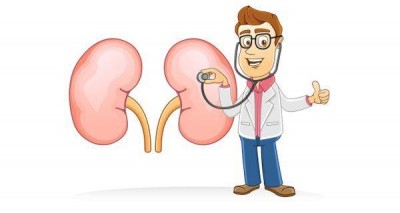 Natural Treatments Reverse Kidney Disease