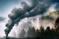 factory smoke covering green forest double exposure global warming climate change