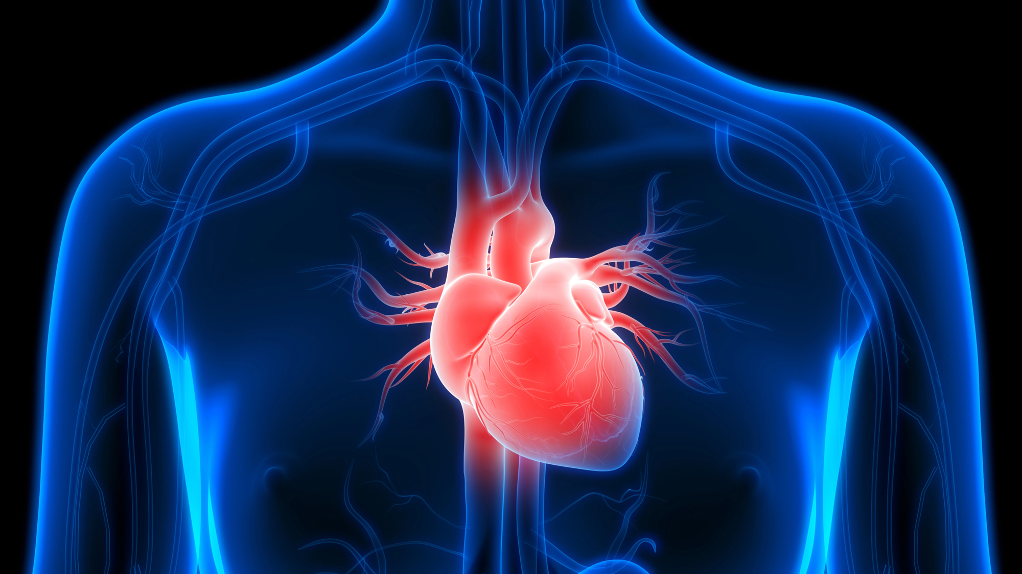 Image result for Heart Disease