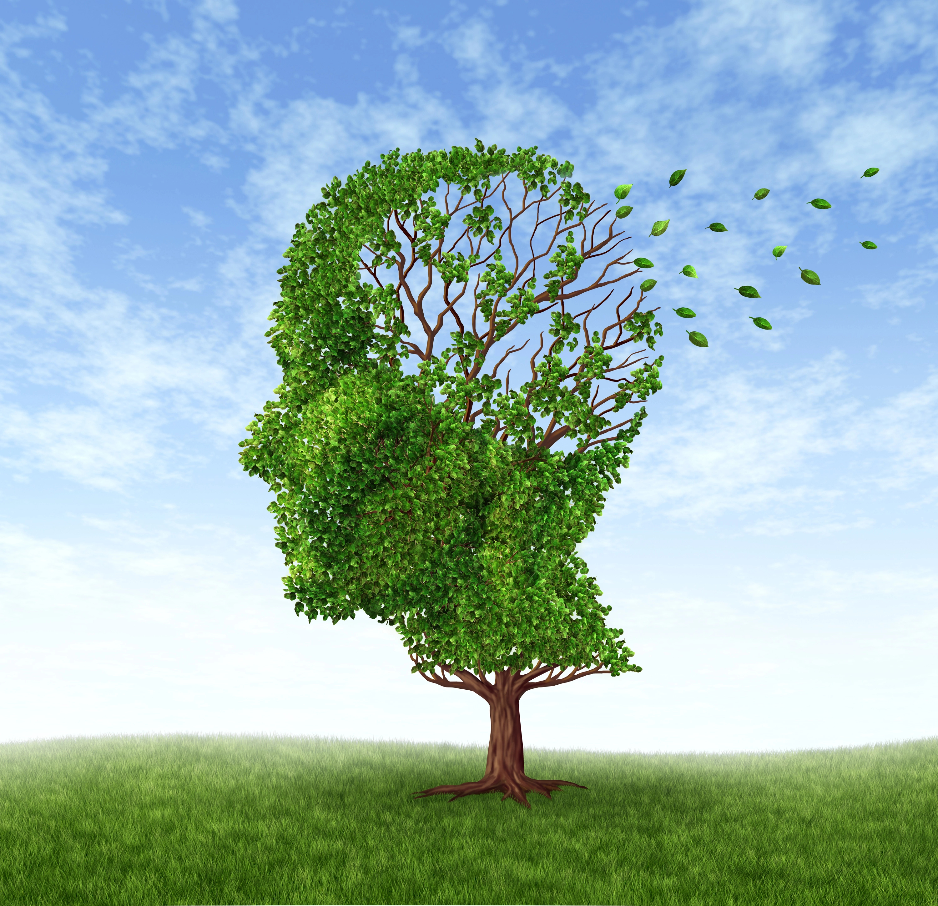 Dementia Treated Successfully With Anti-Aging Diet post image