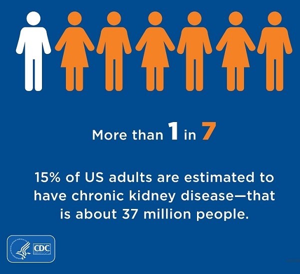 15% of United States adults, more than 1 in 7, are estimated to have chronic kidney disease. That is about 37 million people.