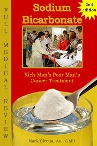 Transdermal Magnesium Therapy Book Cover