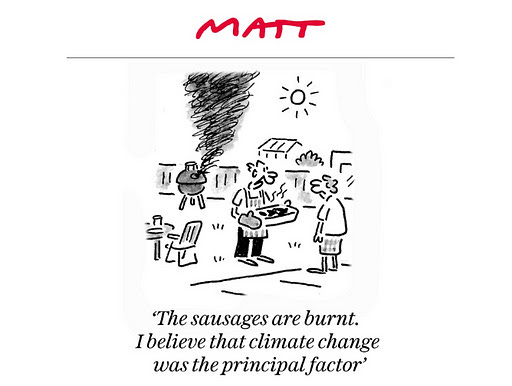 Matt cartoon climate change image
