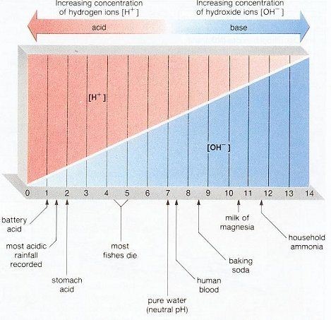 Diagram of the pH scale from 0 to 14, showing acidic to basic range with examples such as battery acid, stomach acid, human blood, baking soda, and household ammonia.