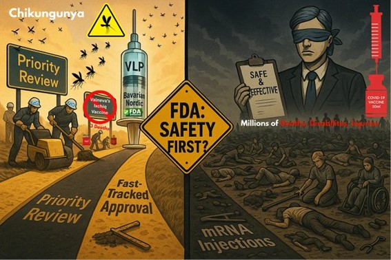 Cartoon contrasting fast-tracked vaccine approvals with blindfolded officials declaring mRNA injections “safe and effective,” while bodies lie on the ground.