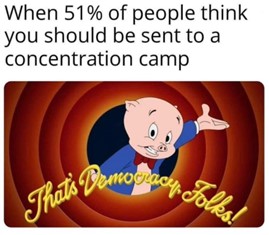 Meme-style image with a cartoon pig character and the text “That’s Democracy Folks!” alongside a statement about public opinion and punishment.