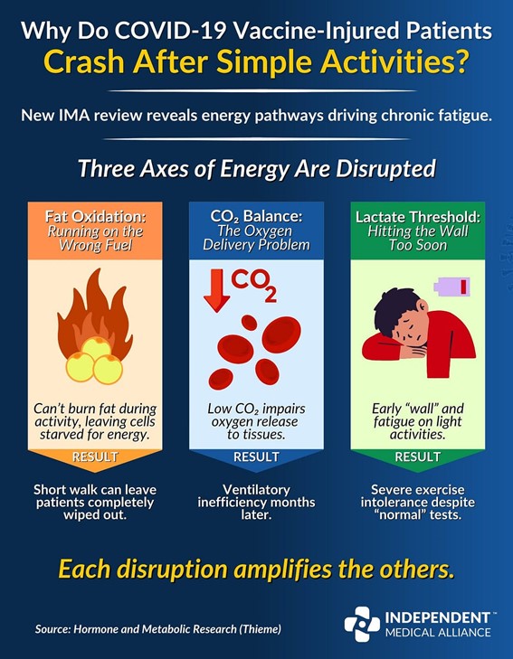 Infographic explaining disrupted energy pathways in post-COVID or post-vaccine fatigue, including fat oxidation, CO2 balance, and lactate threshold.
