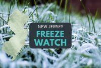 Image labeled “New Jersey Freeze Watch” over frosted grass background.