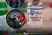 Pfizer COVID-19 vaccine vial displayed beside medical illustrations of a human torso highlighting the heart and a brain scan with a glowing red area, representing potential heart and neurological conditions, with headline text referencing a WHO-supported study on rare side effects.