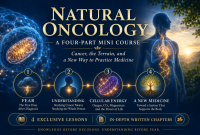 Natural Oncology: A Four-Part Mini Course on Cancer banner image
