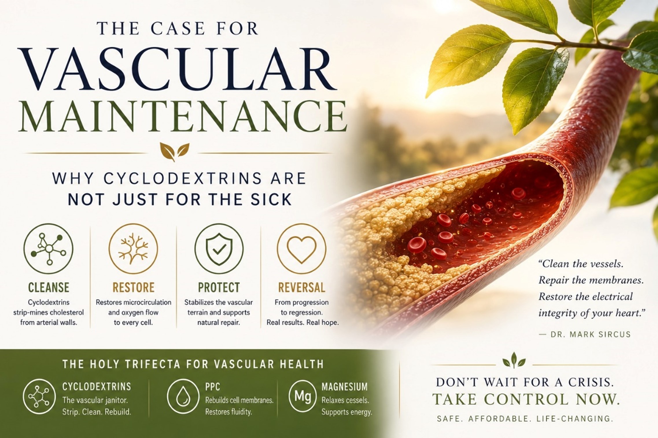 The Case for Vascular Maintenance: Why Cyclodextrins Are Not Just for the Sick