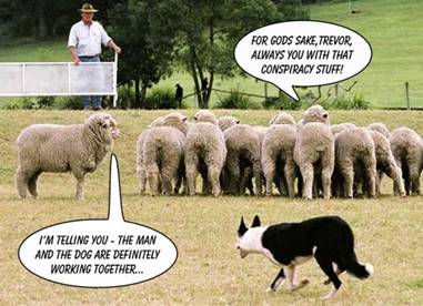sheep dog trials im telling you the man and the do1 About Vigilant